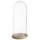 Cloche verre sur socle bois (h)26,5x(d)12cm