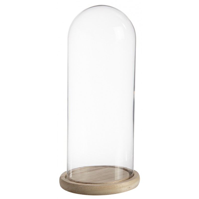 Cloche en verre support bois taille moyenne